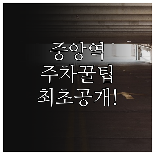 중앙역 신도시 방향 여유로운 주차 공..