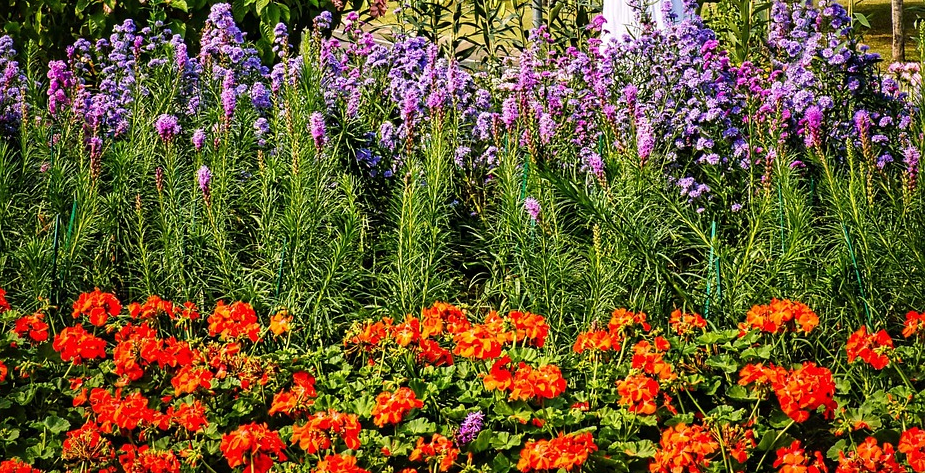 치앙마이 꽃 축제