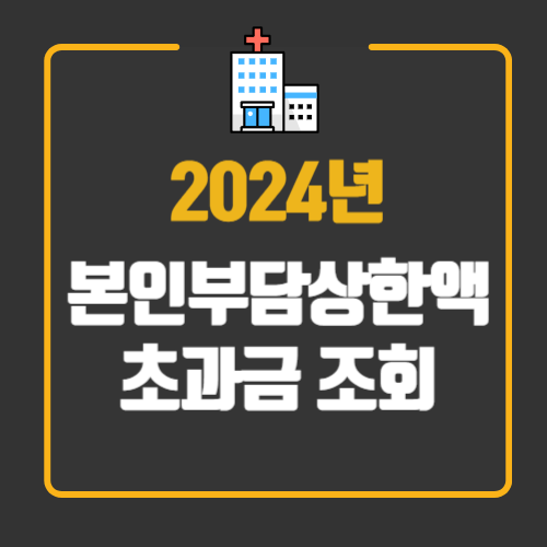 2024년 본인부담상한액 초과금 조회