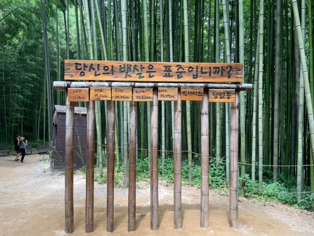 담양 대나무축제