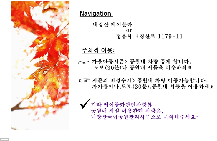 내장산 케이블카 요금 및 시간