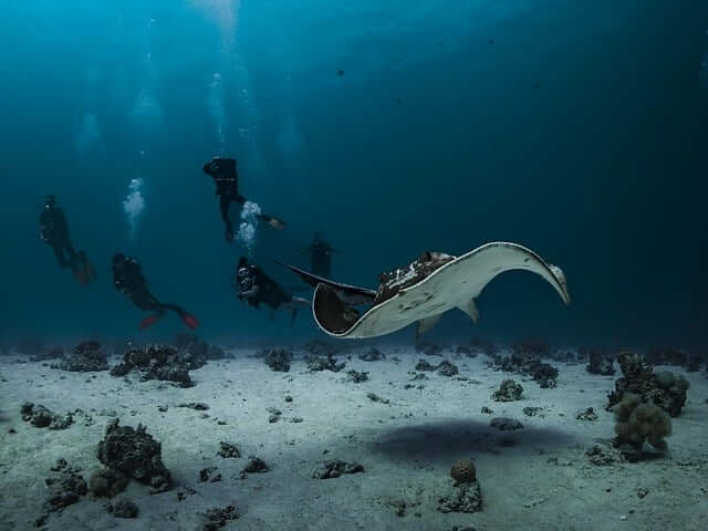 전국 주요 아쿠아리움 비교 추천