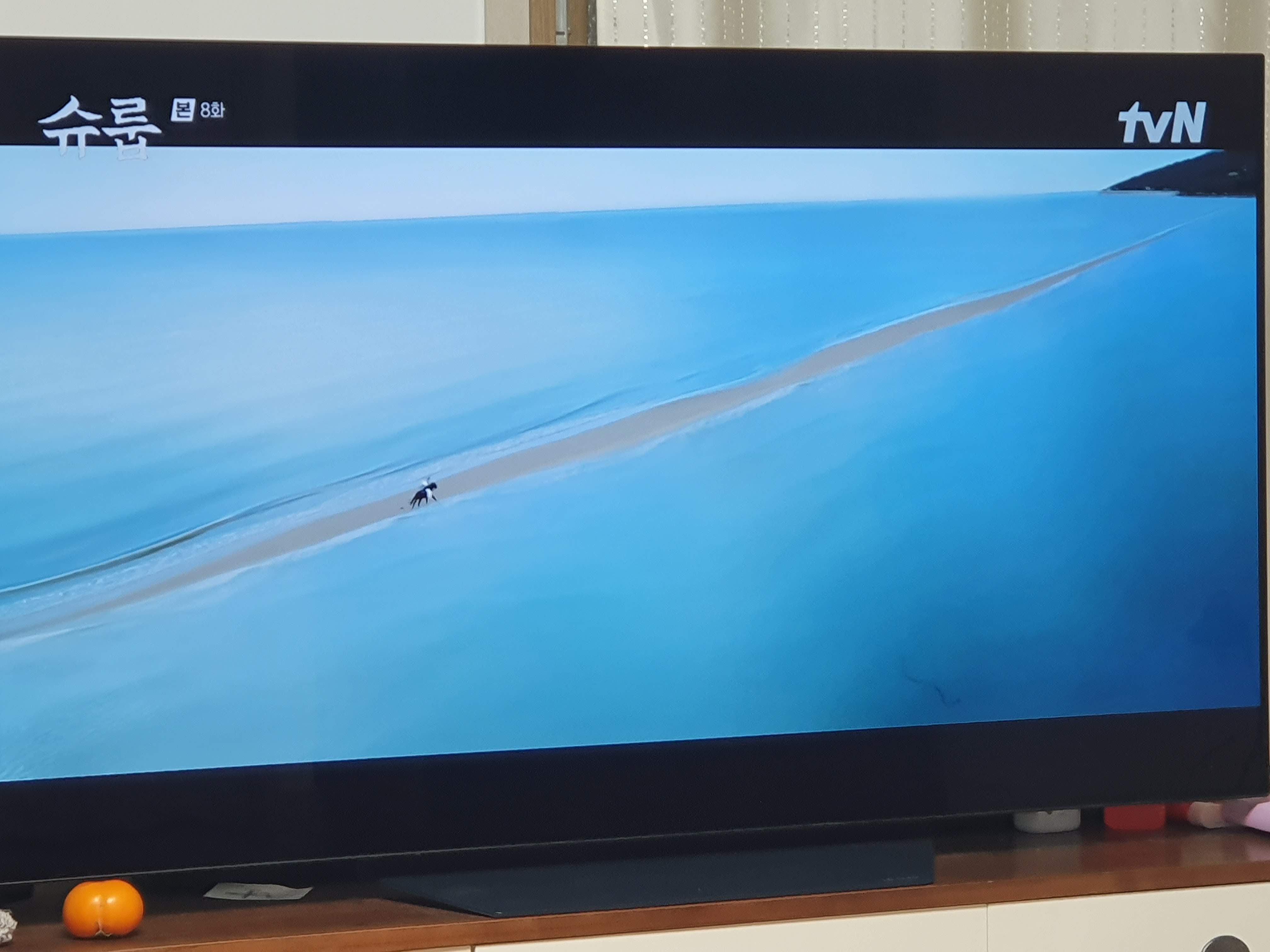 슈룹리뷰