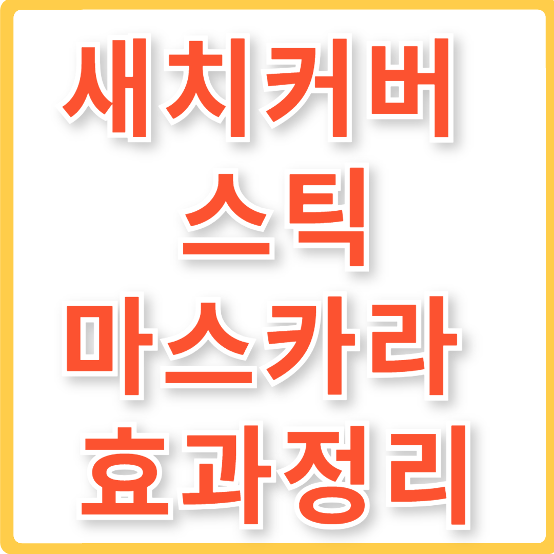 새치커버 스틱 마스카라 효과 정리