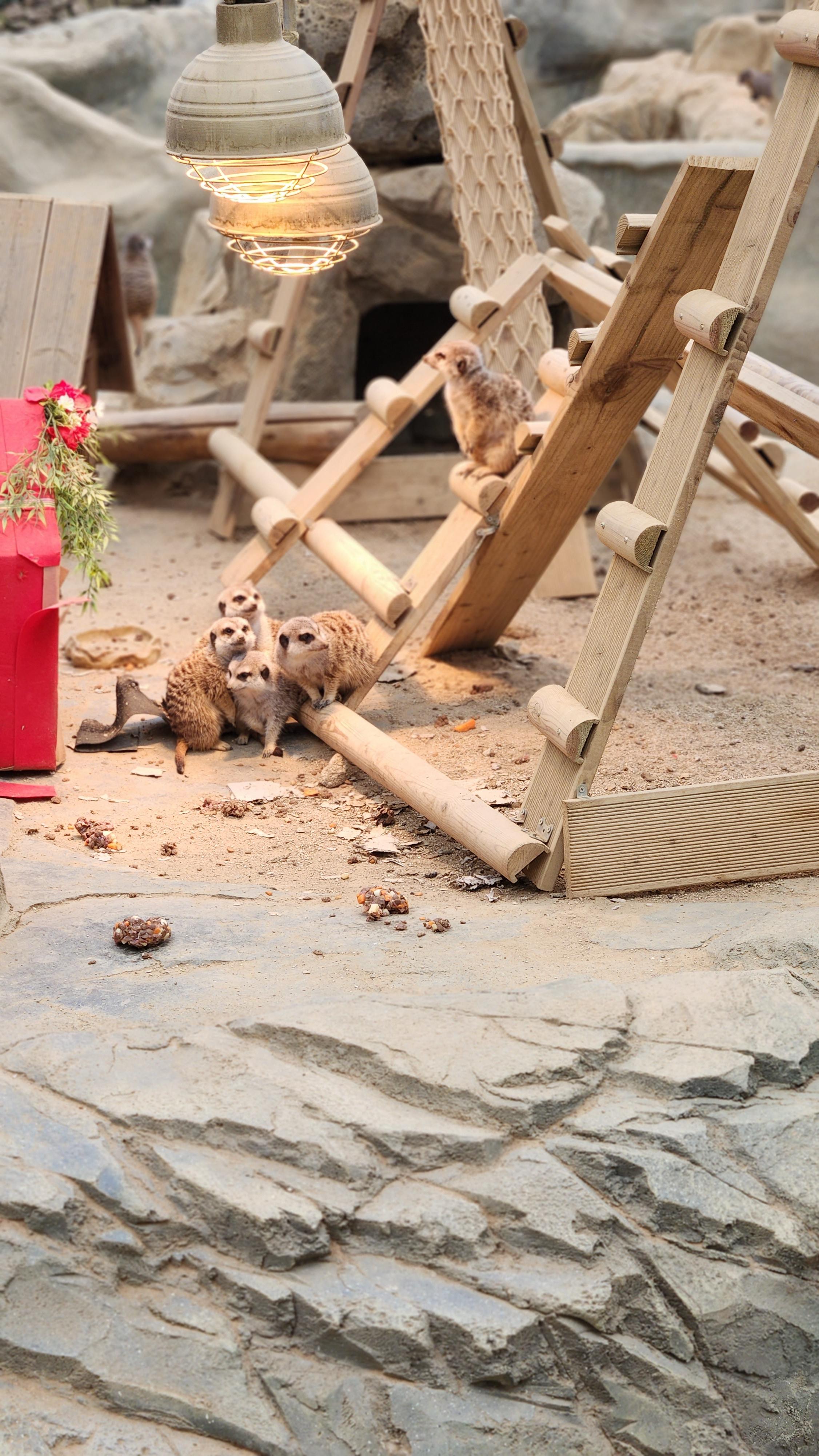 대구-네이처파크