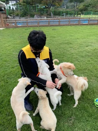 유기동물보호센터 갈 곳 잃은 천사들 희망 이야기_16