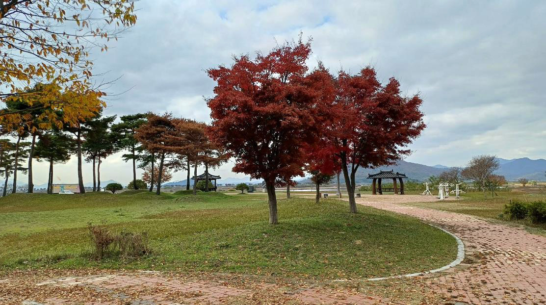 김해 딴섬생태누리공원