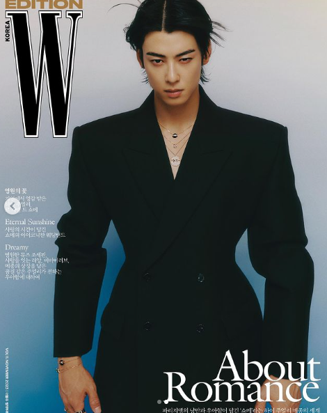 차은우 쇼메 