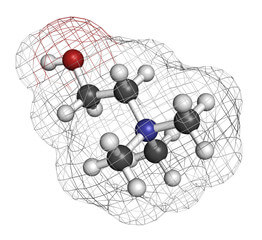 생선냄새증후군, 트리메틸아민뇨증이라고 들어 보셨나요? 사람마다 다르지만 끊임없이 냄새를 풍기는 사람들이 있습니다. 땀도 나지 않고 특별한 이상이 없다면 생선냄새증후군을 의심해볼 수밖에 없습니다. 생선 냄새 증후군은 과거에는 인식되지 않았으나 요즘에는 사람들에게 관심이 생기기 시작했습니다.