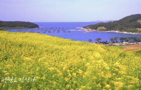 청산도 배편 완벽 가이드(완도에서 가는 배)