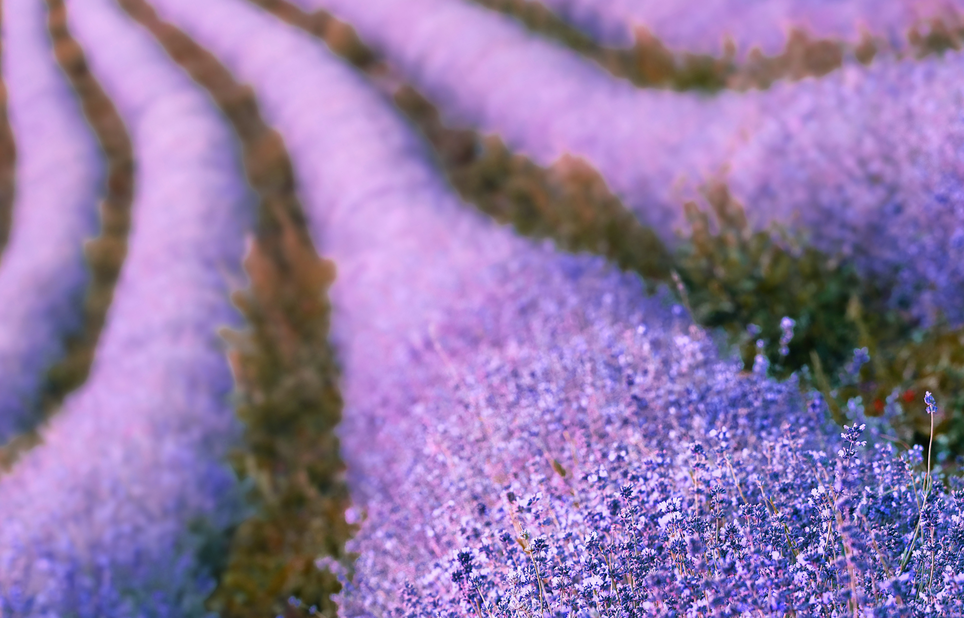 컴퓨터그래픽스운용기능사 필기