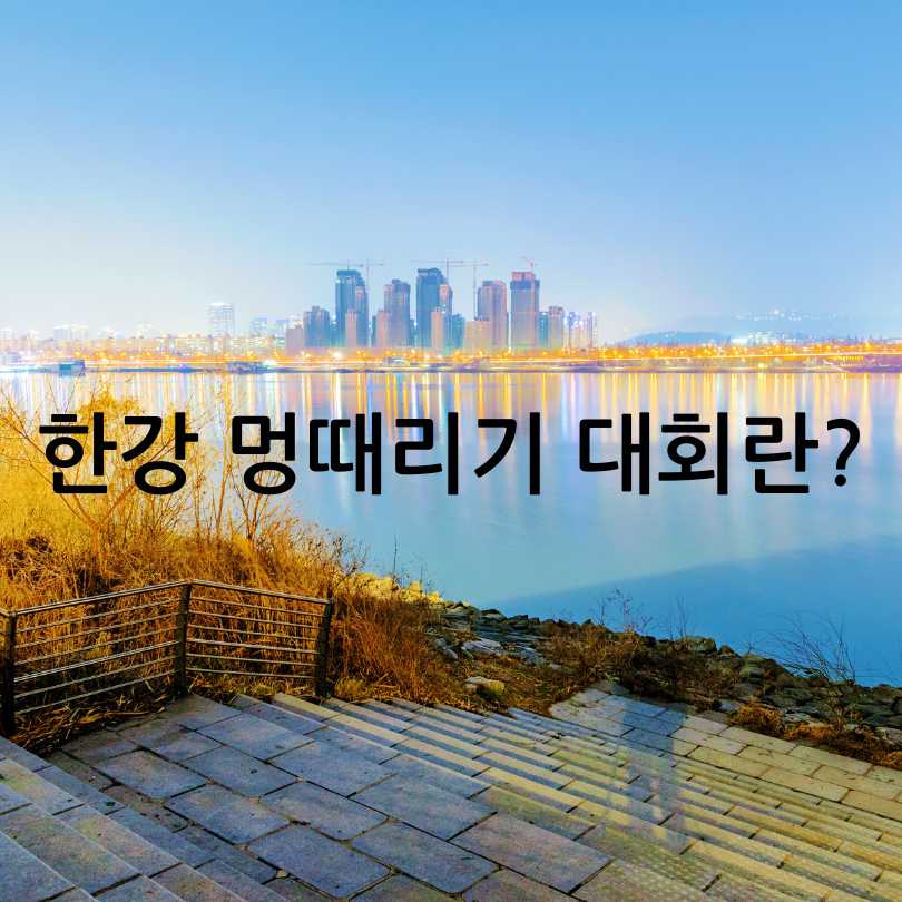 2025 한강 멍때리기 대회 신청 방법과 꿀팁