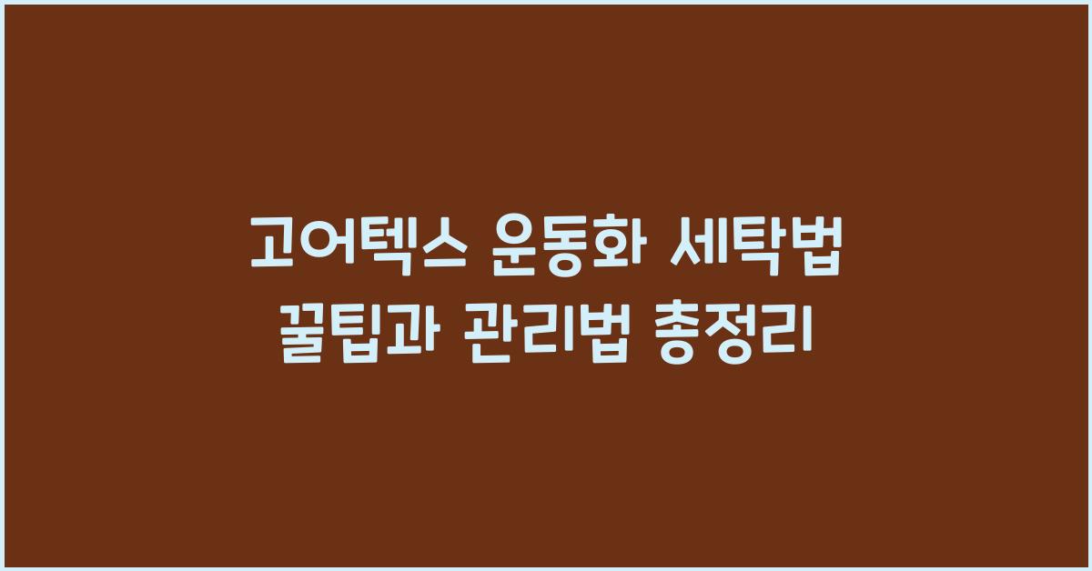 고어텍스 운동화 세탁법