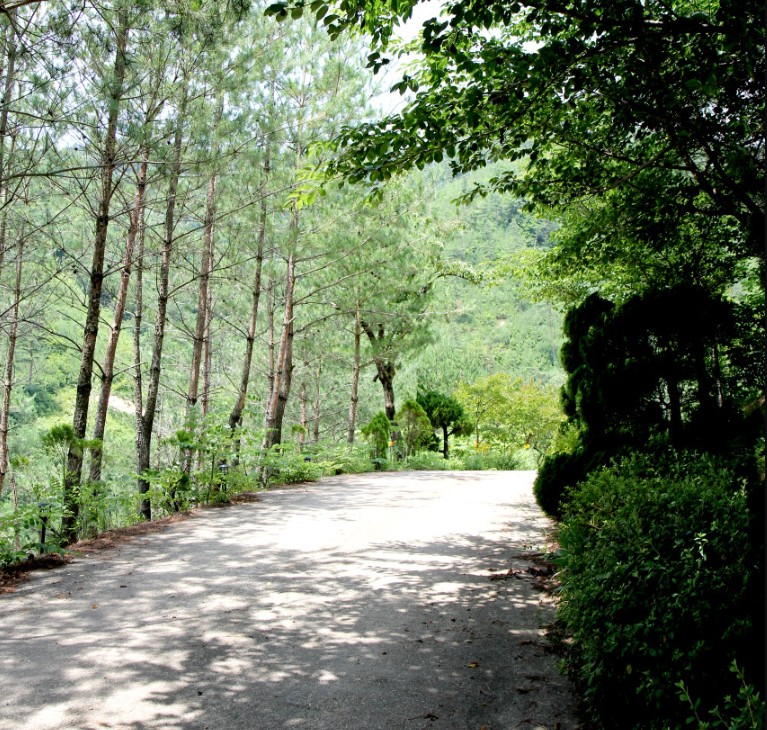 한국기행 찾아라 피서맛집 강원 삼척 한옥펜션 전경
