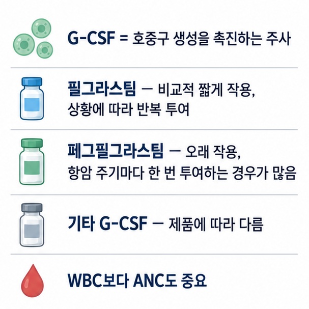 필그라스팀 페그필그라스팀 등 G-CSF 주사의 작용시간과 투여 방식 차이를 비교한 표