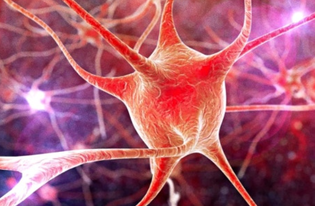 루게릭병의 원인