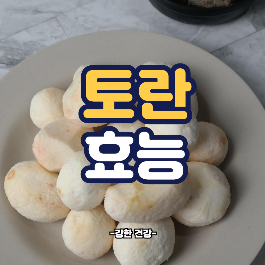 토란 효능