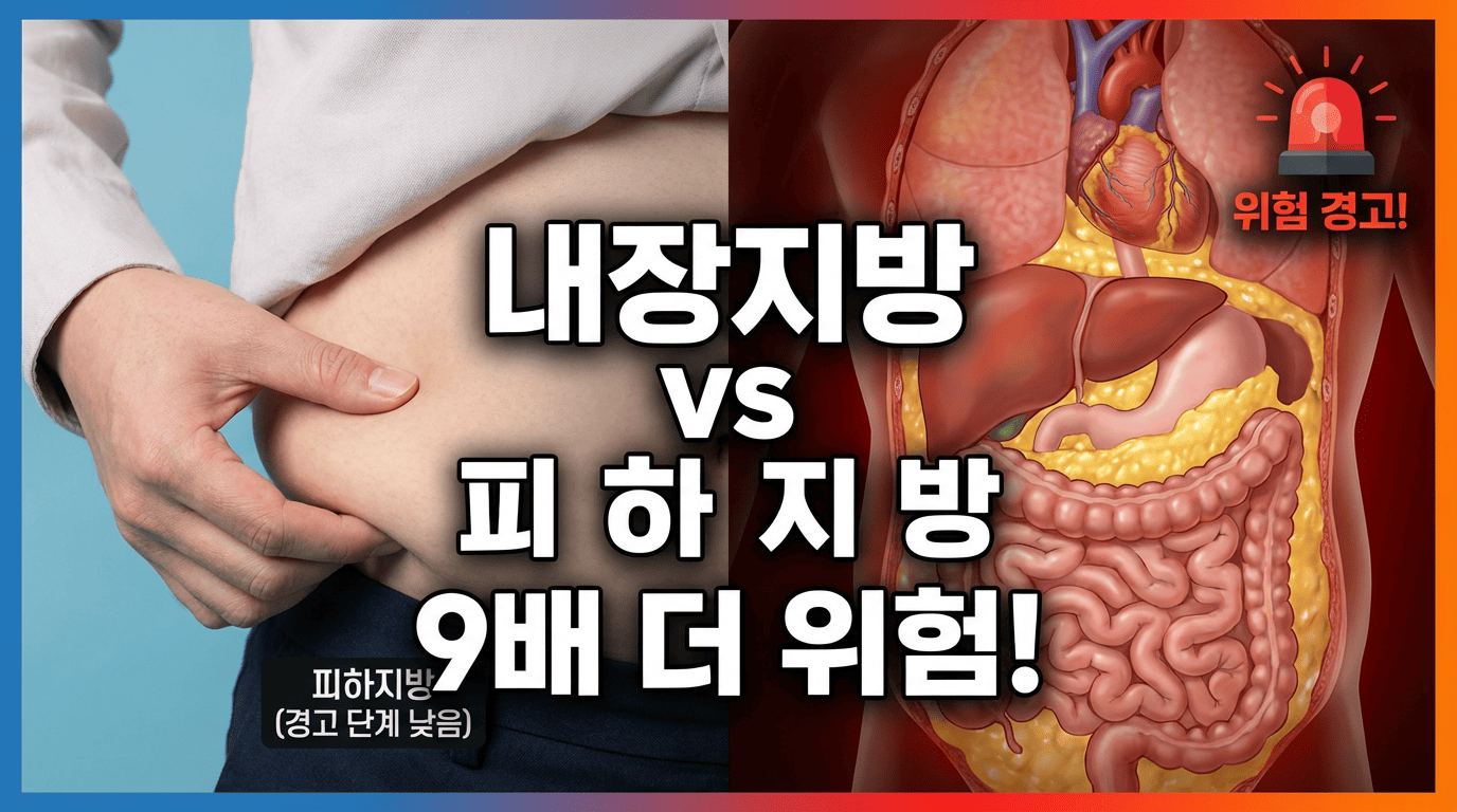 내장지방 vs 피하지방