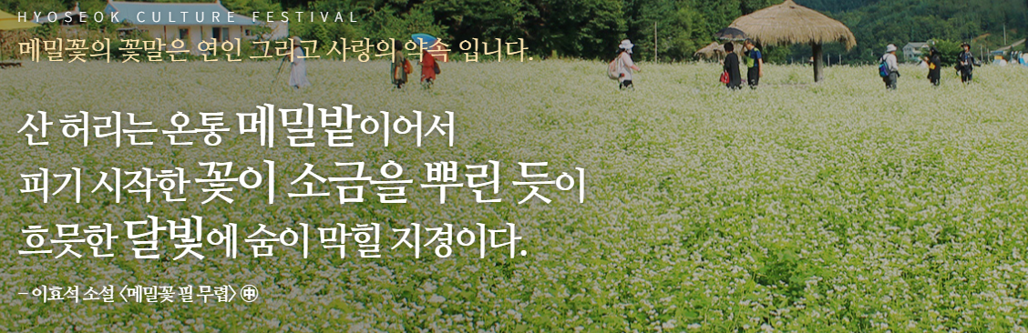 평창 효석문화제 2025 입장료 교통 프로그램