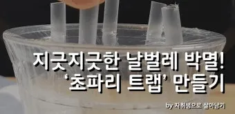 파리 퇴치 초파리 트랩 식초와 세제 과일 제거_15