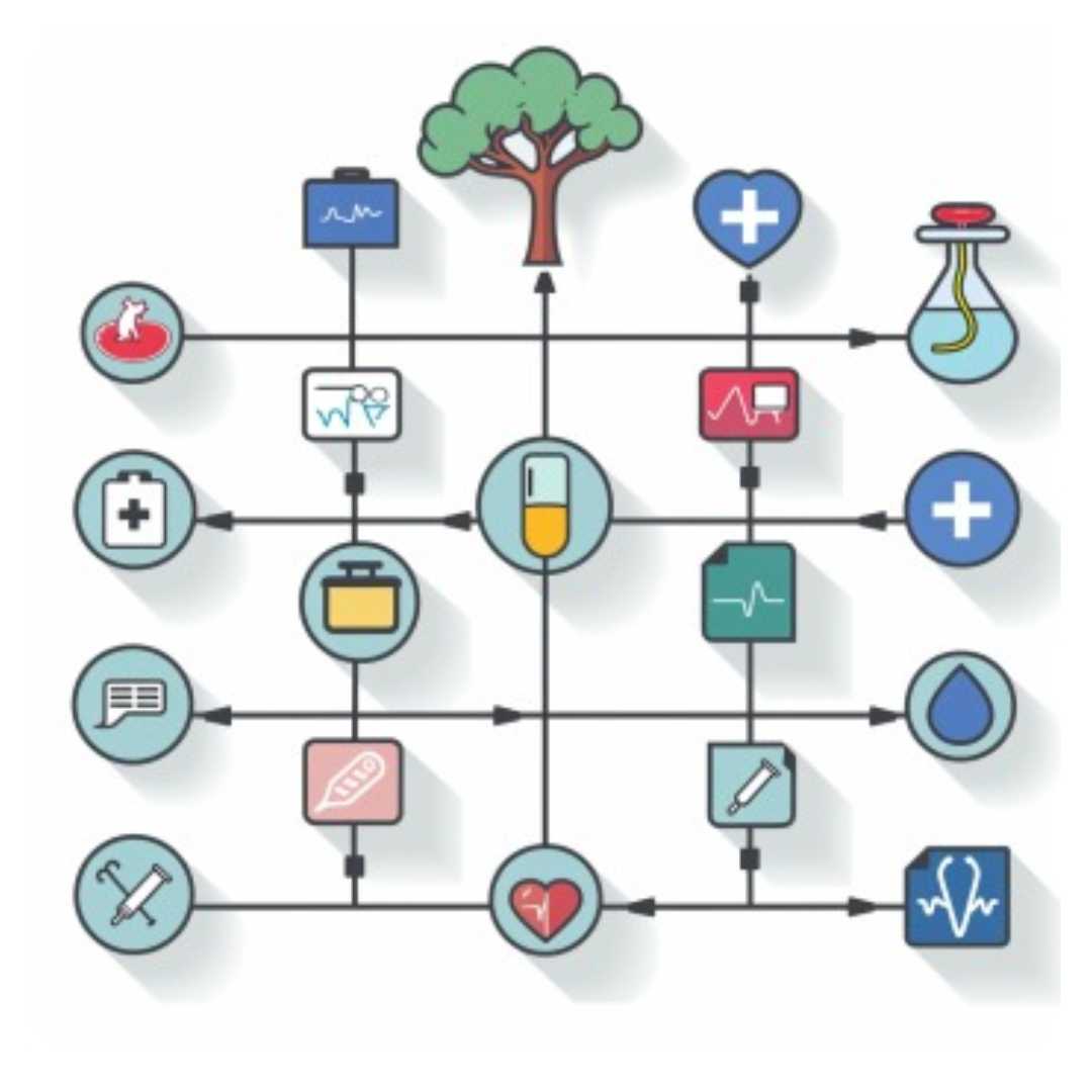 갑상선 기능 저하증과 관련된 사진입니다.