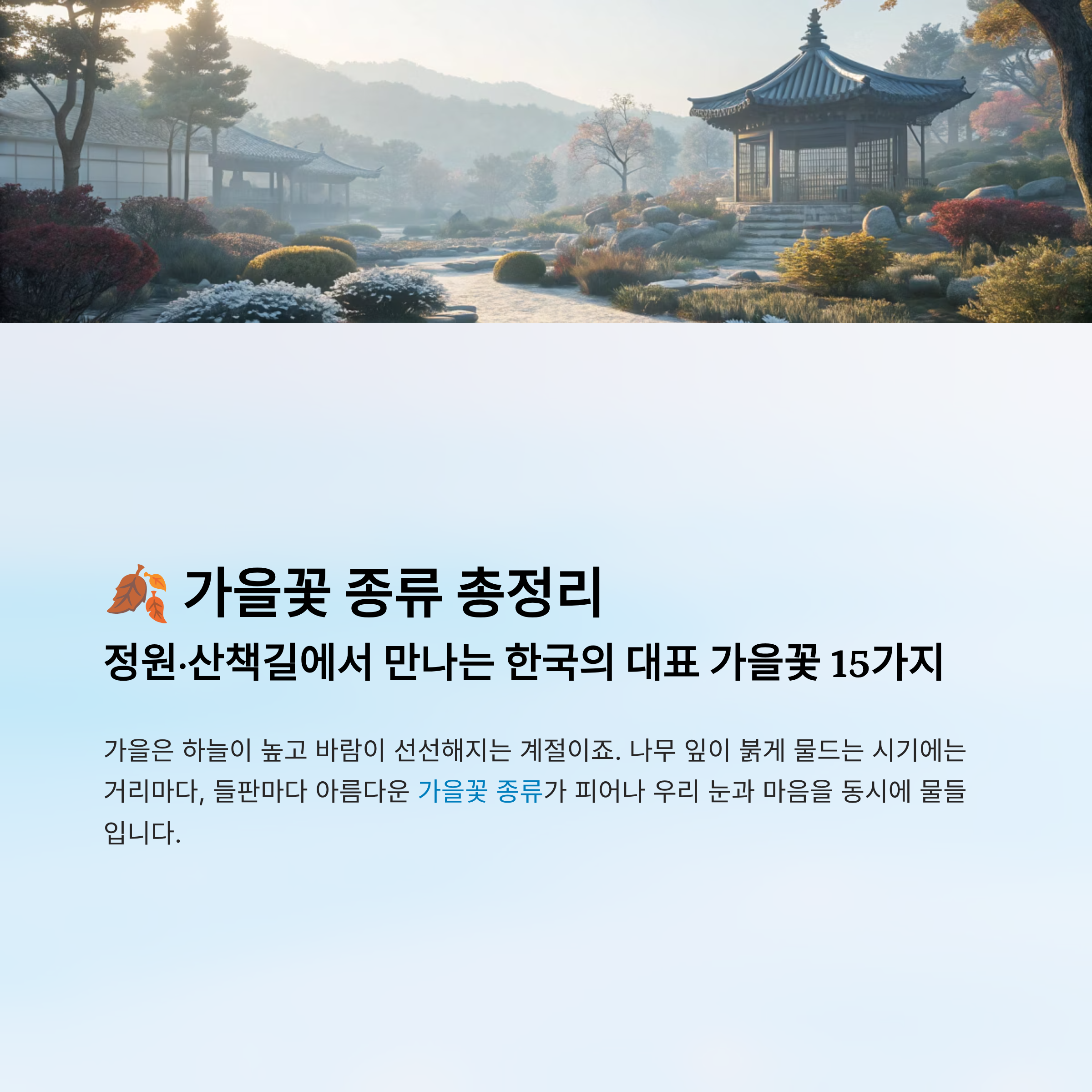 가을꽃 종류 알아보기