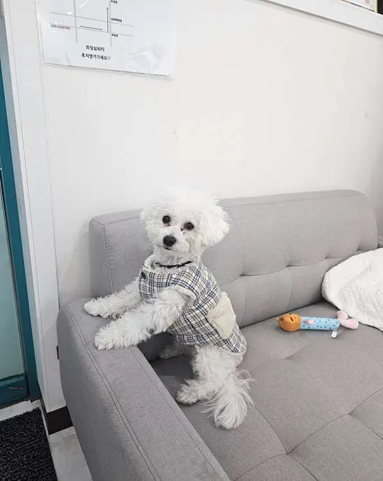 엄쌤네일