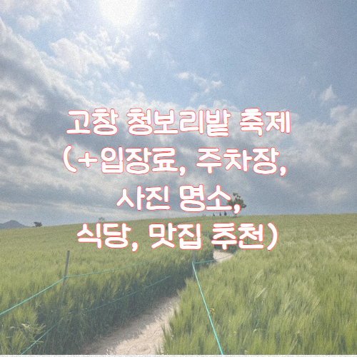 고창 청보리밭 축제