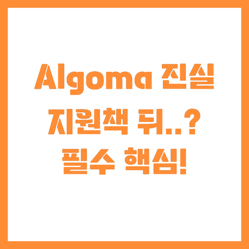 철강주 Algoma를 주목하라 지원책..