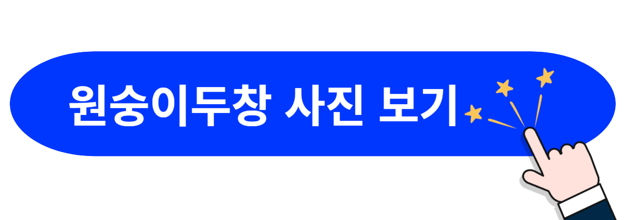 원숭이두창-사진