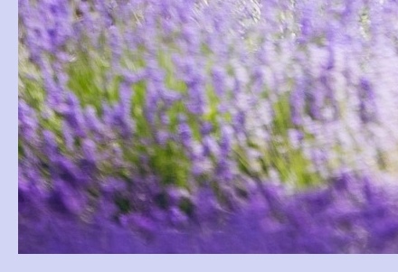 6월 국내 여행지 추천