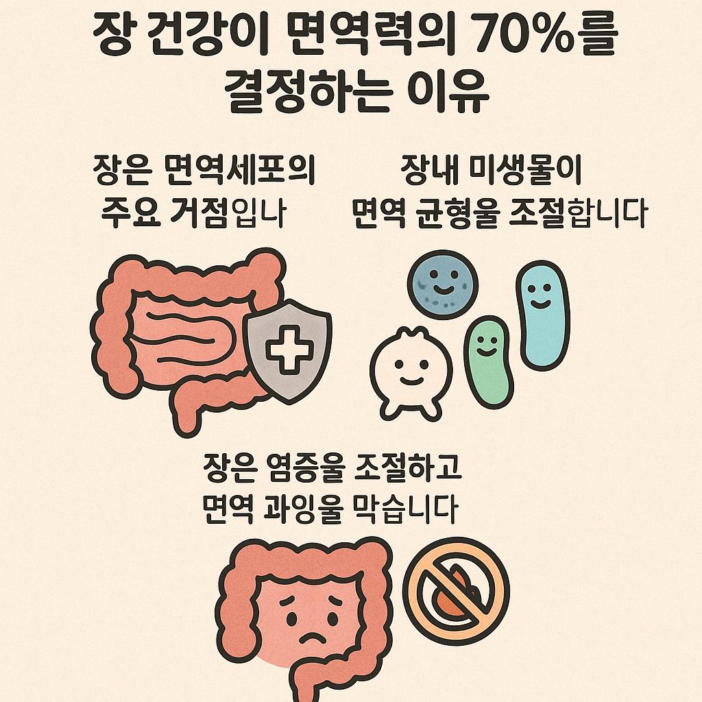 장 건강이 면역력의 70%를 결정하는 이유