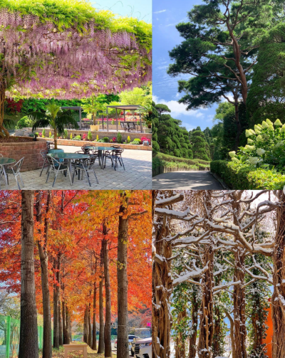 베어트리파크 단풍축제 기간 입장료 할인받기