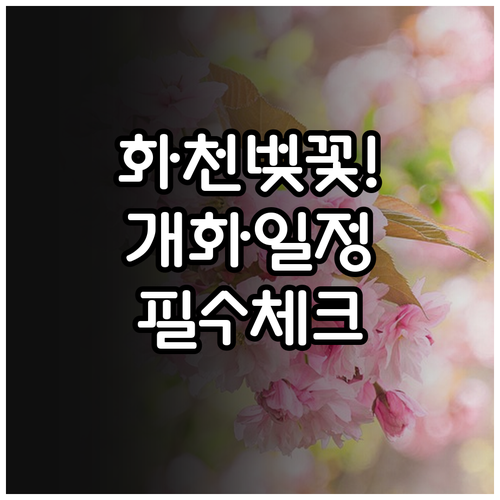 강원도 화천 벚꽃 개화 일정과 축제 ..