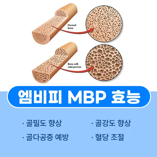 MBP 효능