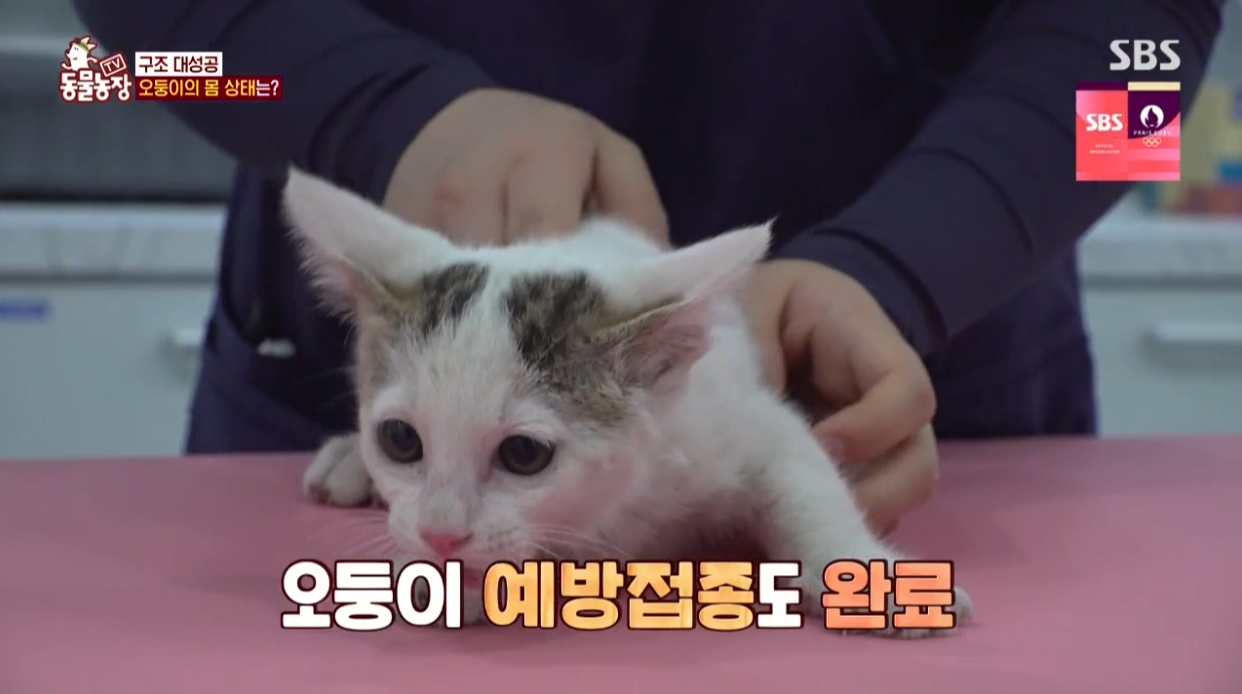 동물농장