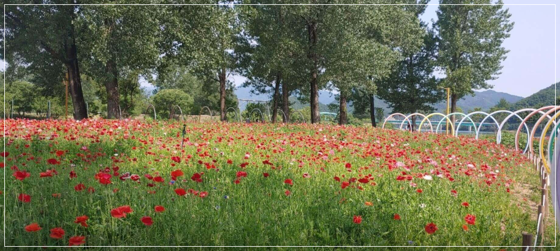 가평 가볼만한곳 베스트10 자라섬 남도꽃정원