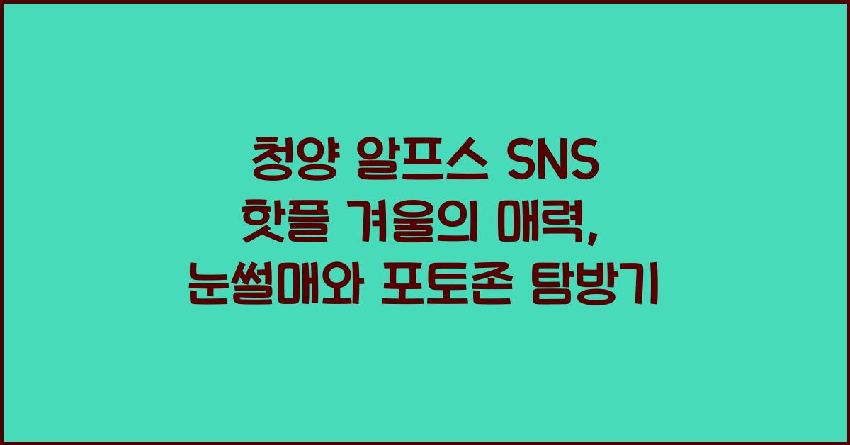 청양 알프스 SNS 핫플