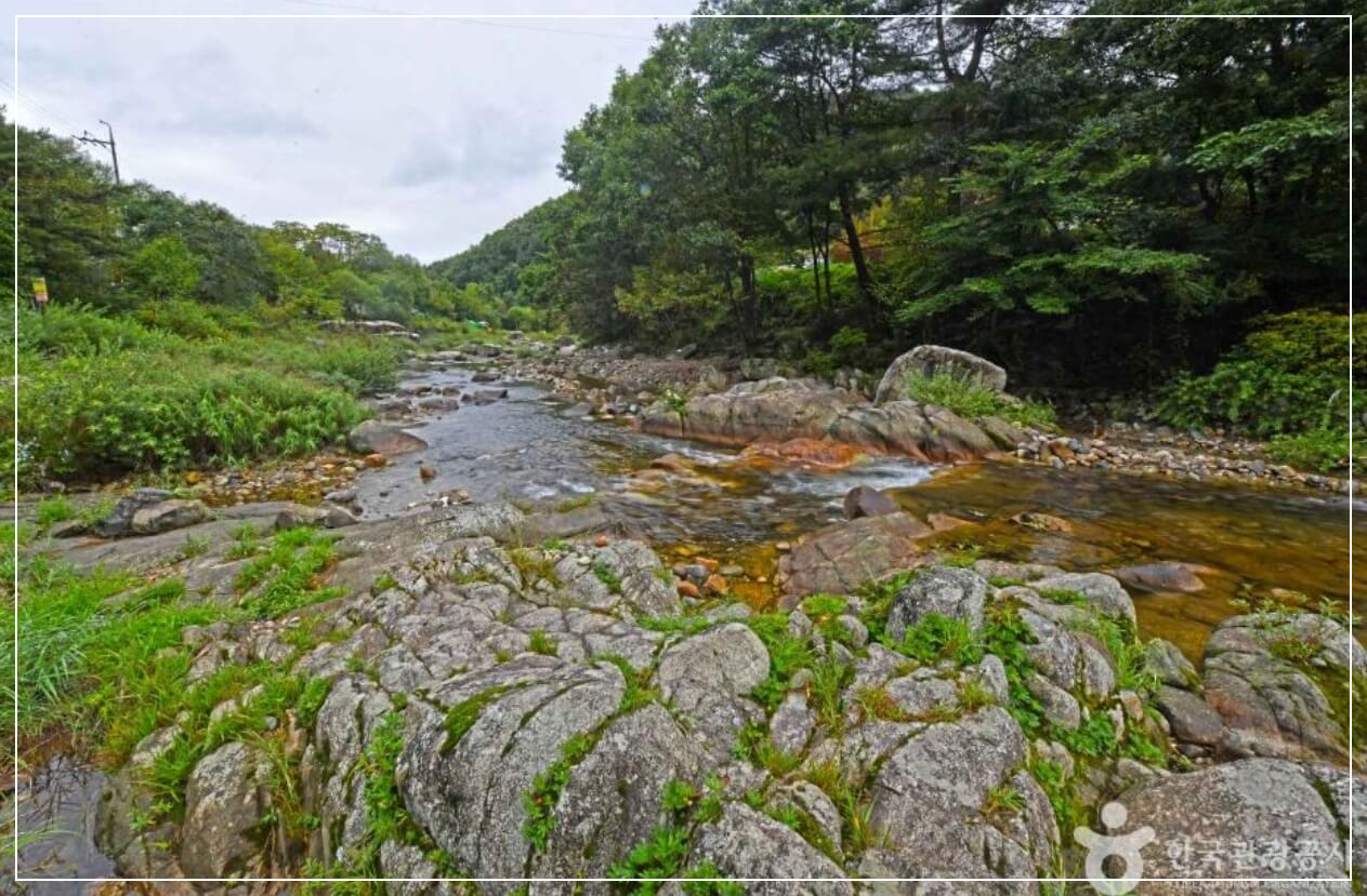 평창 가볼만한곳 베스트10 흥정계곡