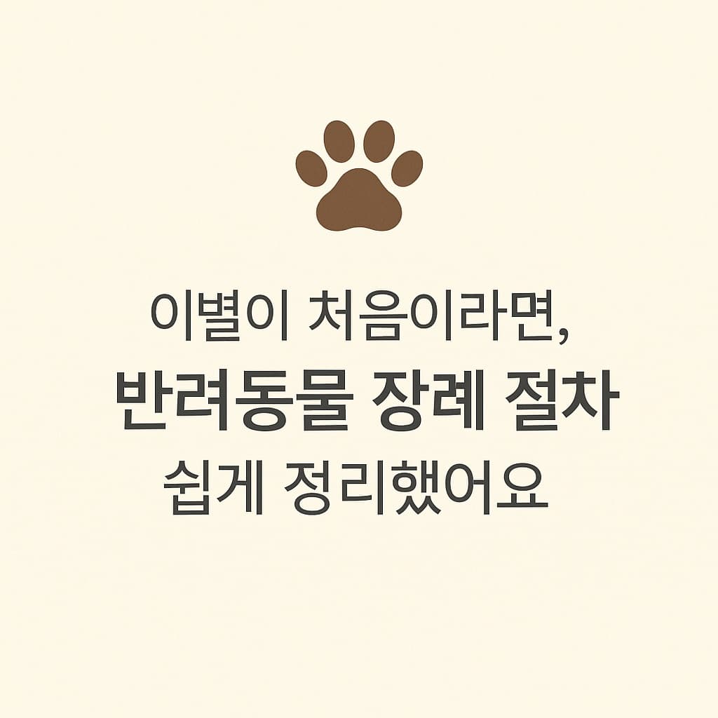 이별이 처음이라면, 반려동물 장례 절차 쉽게 정리했어요