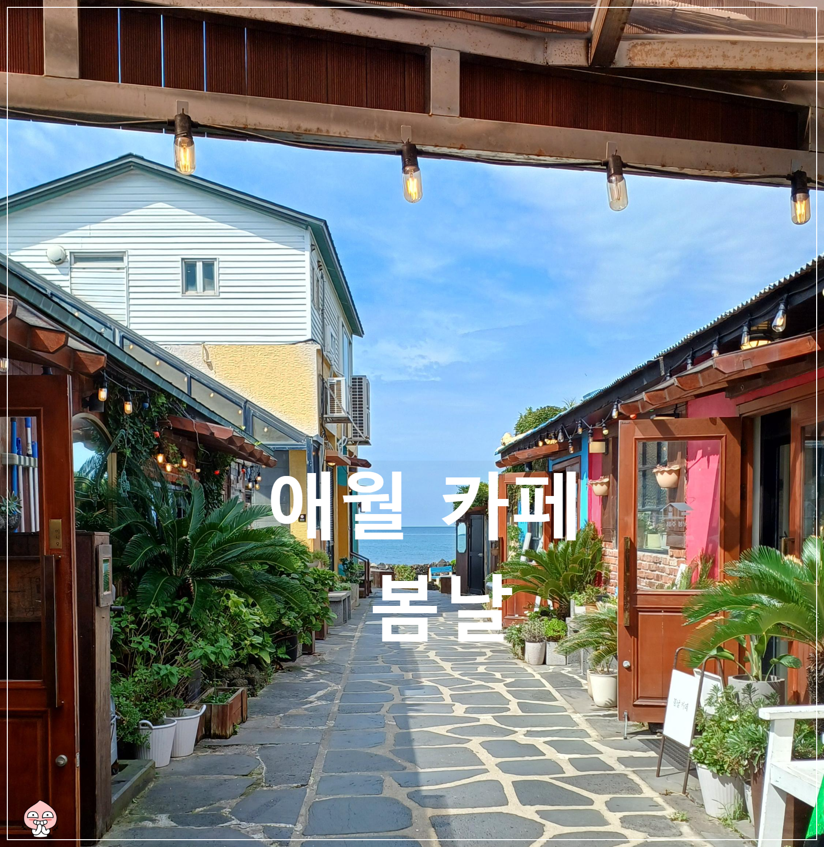 제주-애월-봄날-1