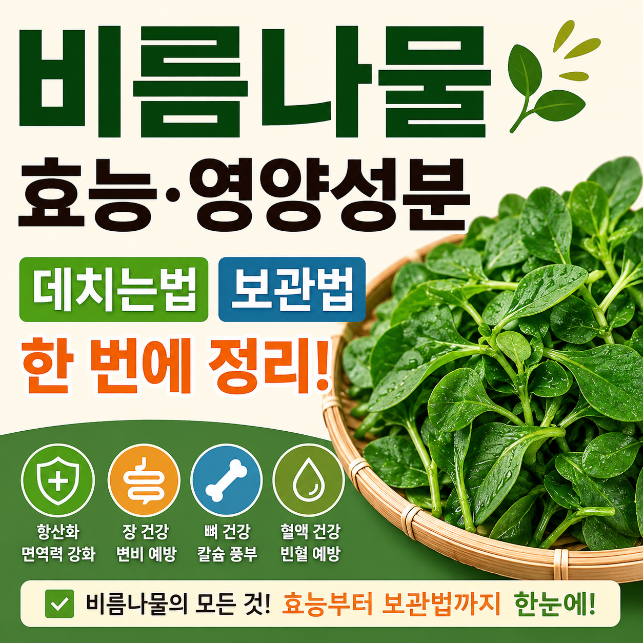 비름나물 효능