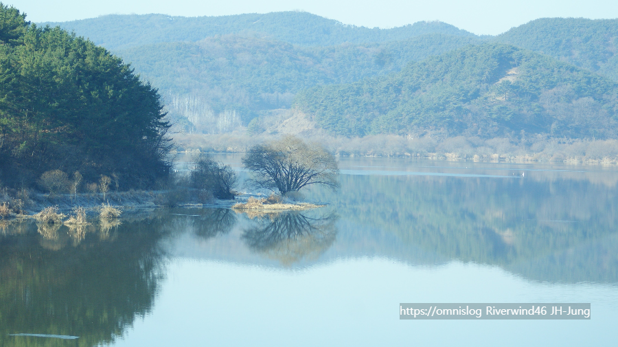 솔밭사이로 강물은 흐르고 The River in the Pines