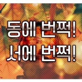 동에 번쩍 서에 번쩍 동해 번쩍 서해 번쩍 헷갈리는 올바른 표현 정리_8