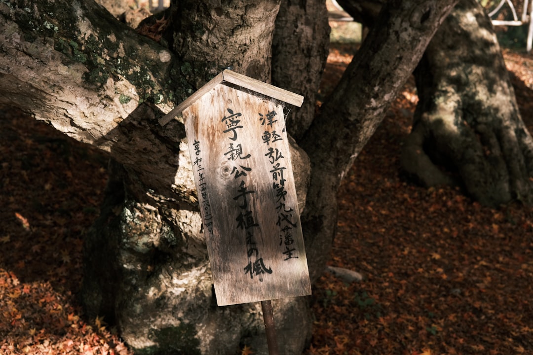 Cornus (the scientific name for the Japanese dogwood tree, which is prominently featured during the festival).