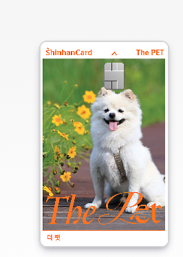 신한카드 분실신고