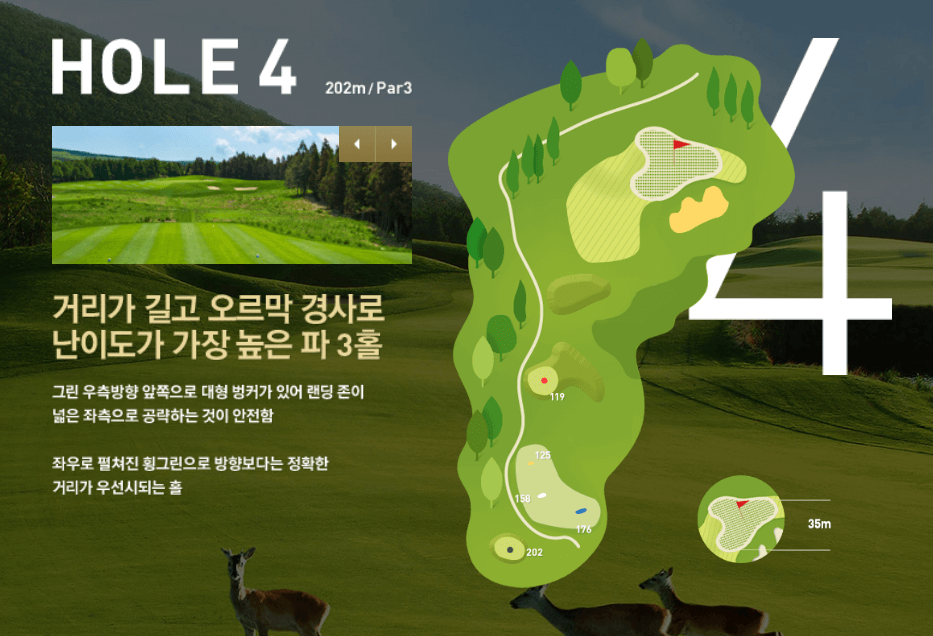 나인브릿지 CC의 코스 공략도 13