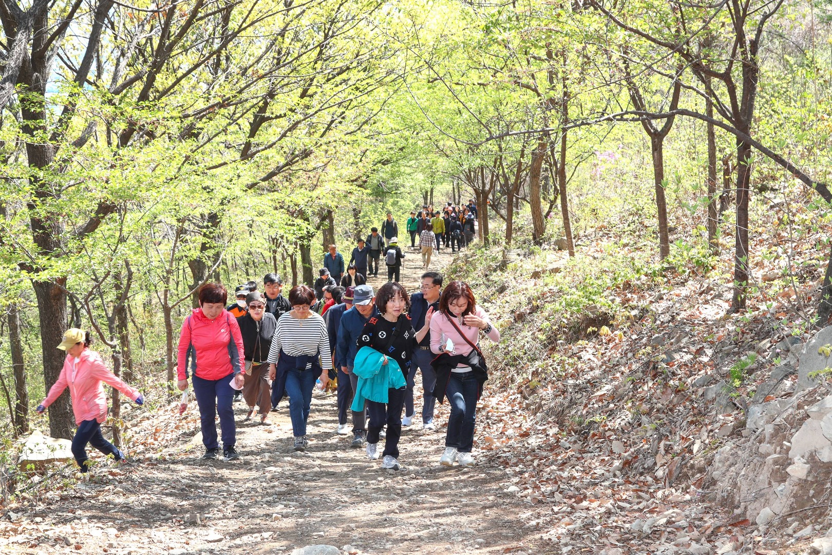 와룡산 와봄 축제