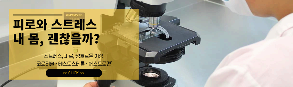 스트레스, 피로, 성호르몬 이상 ❘ "내 몸의 호르몬 균형은 괜찮을까?" ❘ 코르티솔 · 테스토스테론 · 에스트로겐 검사 가이드