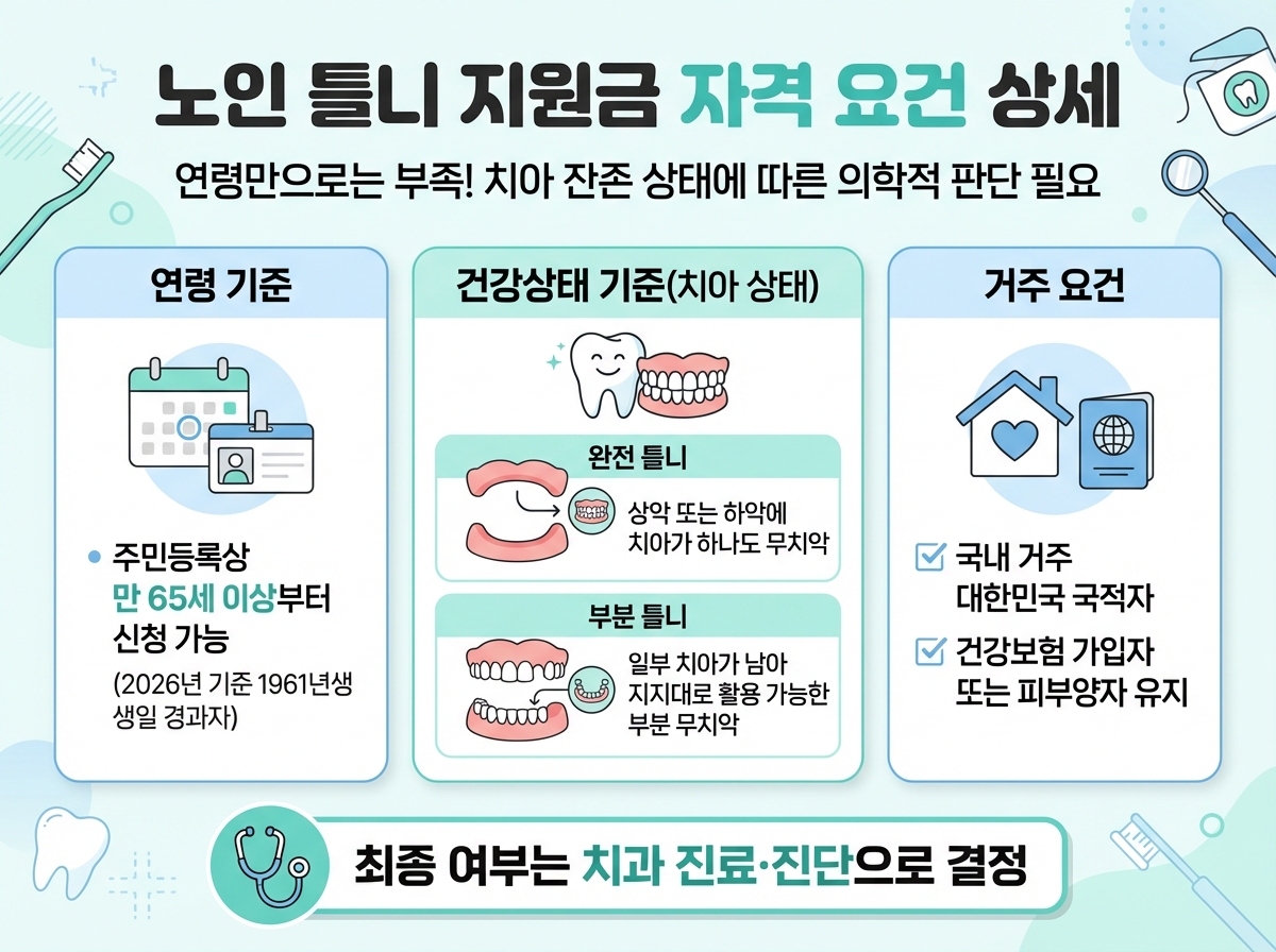 노인 틀니 지원금 자격 요건 상세_안포그래픽